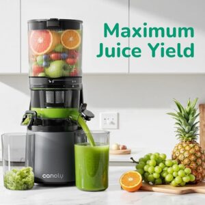 Canoly C16 Cold Press Juicer, 3-in-1 Strainers (Juice, Nut Milk & Sorbet), 6" Extra-Wide Feed Chute, Powerful AC Brushless Motor, BPA-Free, Self Pre-Cut System, Space Gray - Image 3